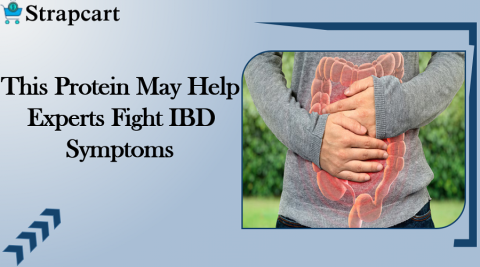 This Protein May Help Experts Fight IBD Symptoms