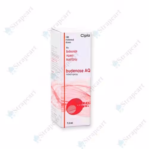 Budenase AQ Nasal Spray