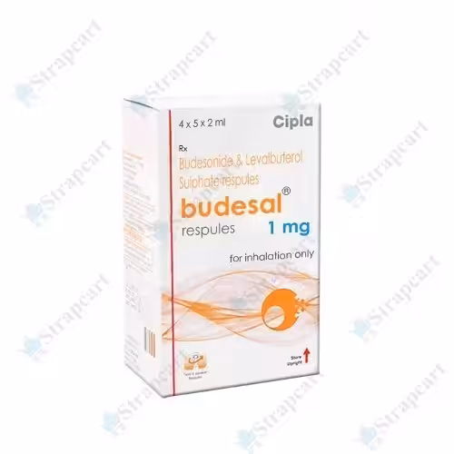 Budesal Respules 1Mg