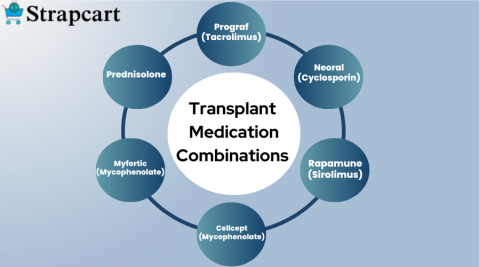 Precautions After Organ Transplant