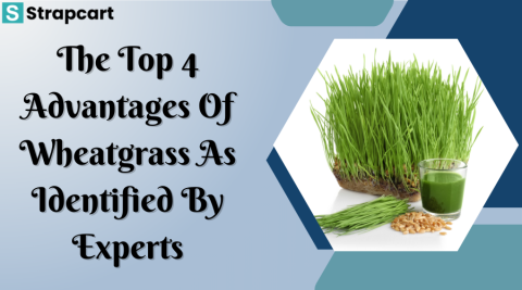 The Top 4 Advantages of Wheatgrass as Identified by Experts