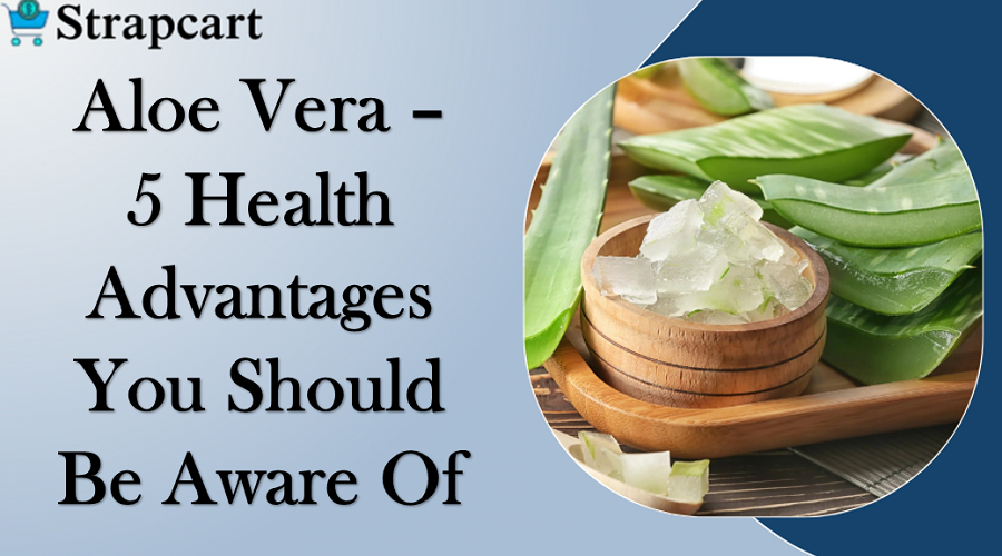 Aloe Vera - 5 Health Advantages You Should Be Aware Of